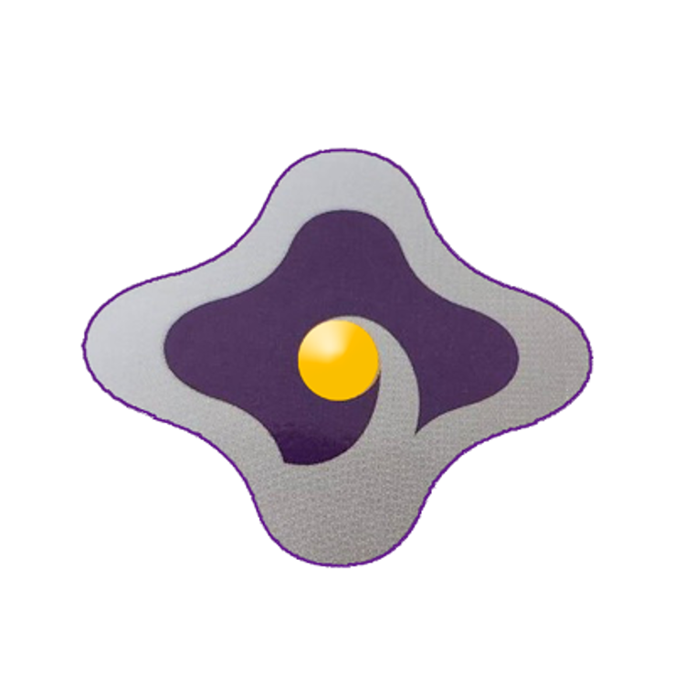 JINCLOUD TECHNOLOGY CO., LTD.